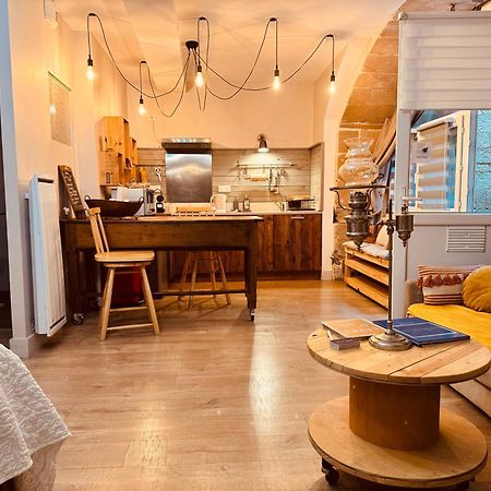 La Chaumiere, Centre Historique, Fibre, Ess, Rez-De-Chaussee, Bedinshop Роман-сюр-Изер Экстерьер фото